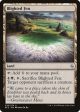 Blighted Fen [Battle for Zendikar] Supply