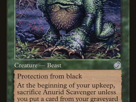 Anurid Scavenger [Torment] Online Sale