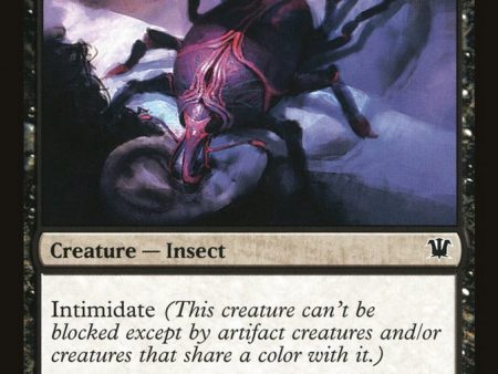 Brain Weevil [Innistrad] Fashion