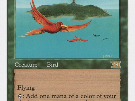 Birds of Paradise [Classic Sixth Edition] For Sale